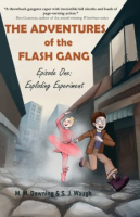 The_adventures_of_the_Flash_Gang