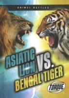 Asiatic_lion_vs__Bengal_tiger