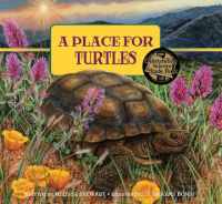 A_place_for_turtles