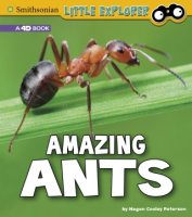Amazing_ants