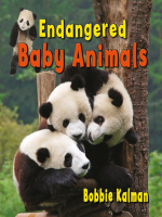 Endangered_Baby_Animals