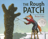 The_rough_patch