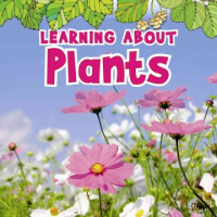 Learning_about_plants