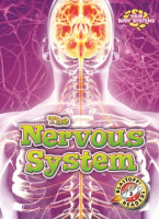 The_nervous_system
