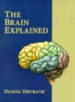 The_brain_explained