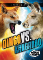 Dingo_vs__kangaroo