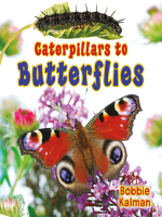 Caterpillars_to_Butterflies
