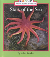 Stars_of_the_sea