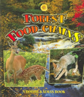Forest_food_chains