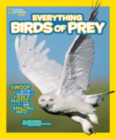 Everything_birds_of_prey