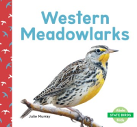 Western_meadowlarks