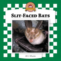Slit-faced_bats